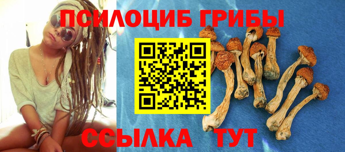 Оренбург  Псилоцибиновые грибы MAGIC MUSHROOMS  Вход с VPN 